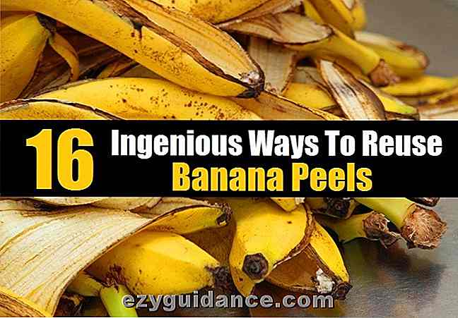 16 geniala sätt att återanvända banan peeling