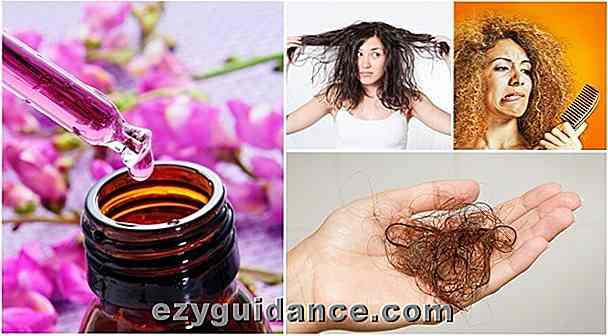 12 essentiella oljor som arbetar underverk för ditt hår och hur man använder dem