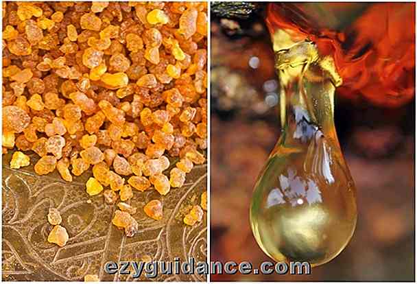 14 Skäl Frankincense Essential Oil borde vara i varje hem