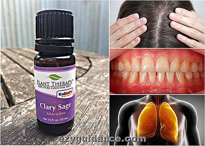 11 Gebruik & Gezondheid Voordelen van Clary Sage etherische olie