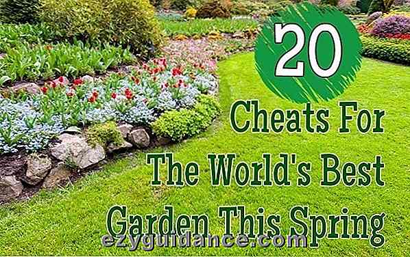 20 fusk för världens bästa trädgård denna vår
