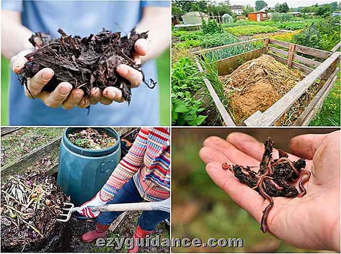 Kompostering 101: Hur man skapar kompost som fungerar som raketbränsle för din trädgård