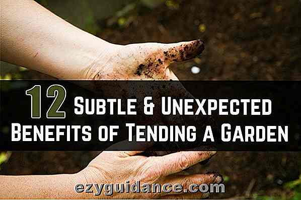12 Subtila och oväntade fördelar med att ha en trädgård