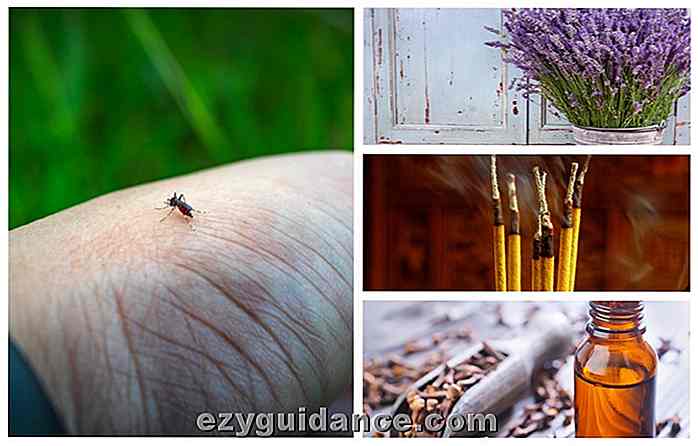 21 beste måter å holde mygg unna deg, ditt hjem og hagen