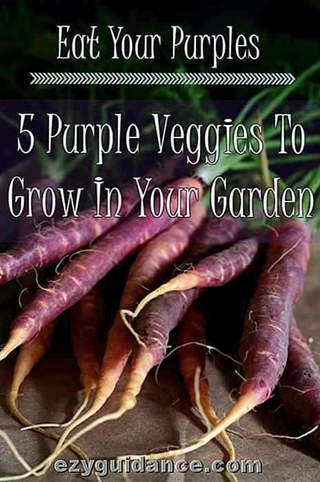 Spis dine purpur - 5 Lilla Veggies å vokse i hagen din