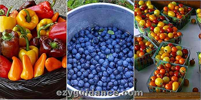 20 beste frukt, veggger og urter å vokse i beholdere for en uendelig tilførsel av fri mat