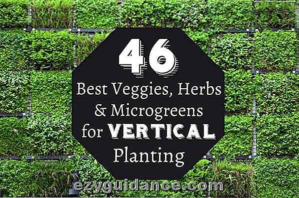 46 beste veggger, urter og mikrogaller for vertikal planting