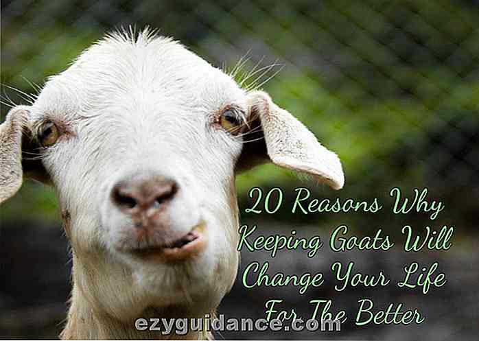 20 skäl till att hålla getter kommer att förändra ditt liv till det bättre