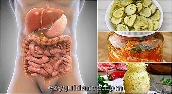 Top 12 alimenti probiotici per una migliore salute dell'intestino