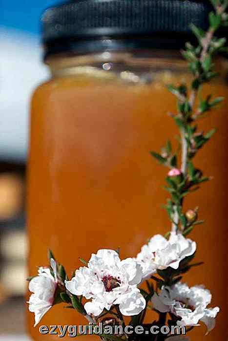 17 Livets förändrade skäl du behöver en burk Manuka Honey