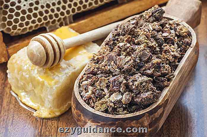 11 fantastiske helsemessige fordeler av Bee Propolis