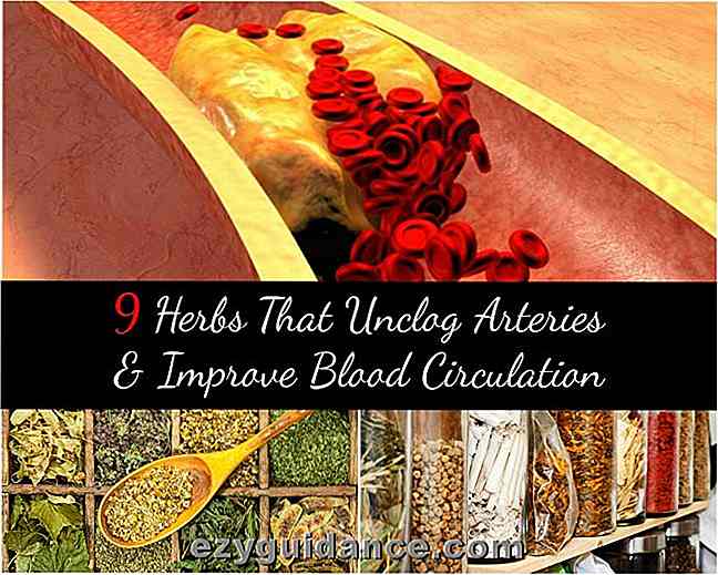 9 örter som unclog arterier och förbättra blodcirkulationen