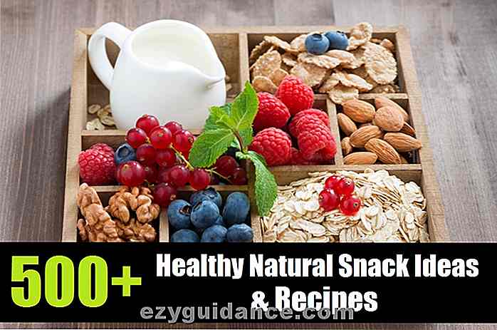 500+ hälsosamma naturliga snacksidéer och recept
