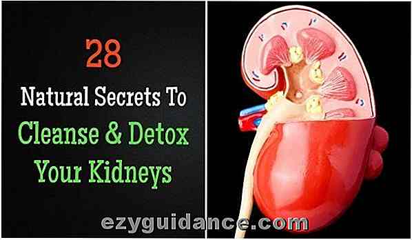 28 Naturliga hemligheter för att rensa och avlägsna dina njurar
