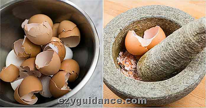 4 grunner til å spise eggeskall, hvordan å gjøre det og 12 andre bruksområder