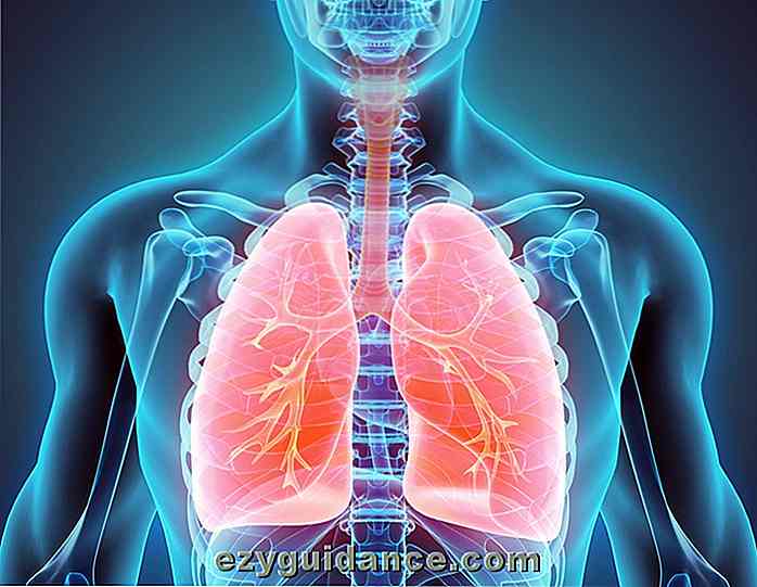 11 manieren om uw longen natuurlijk te reinigen en zuiveren