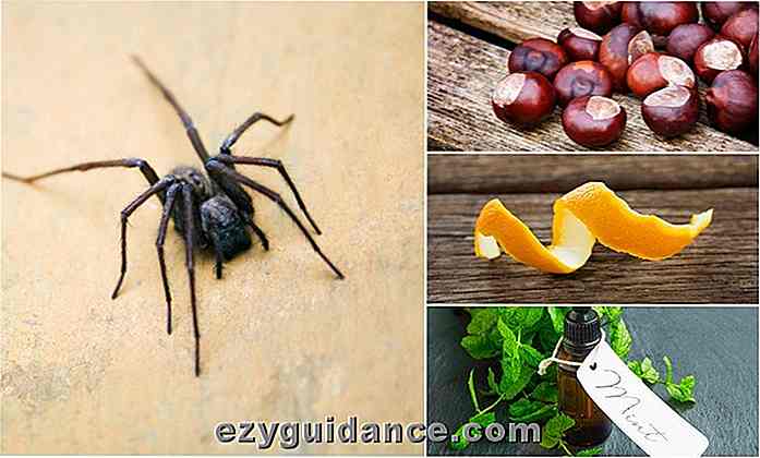 12 naturlige måter å holde edderkopper ute av hjemmet ditt