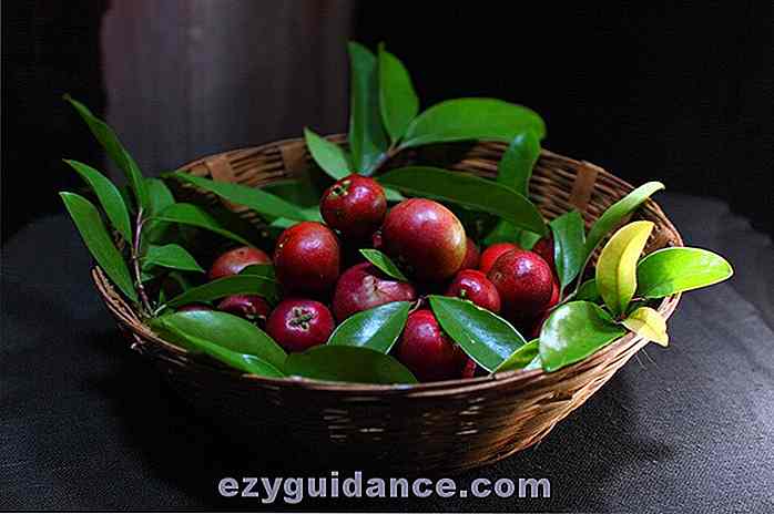 6 Gesundheit und Schönheit Vorteile der Kokum Plant