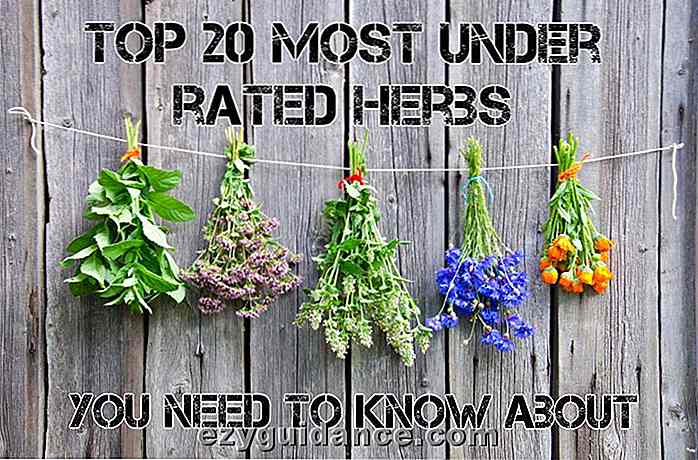 Top 20 des herbes curatives les moins bien notées que vous devez savoir sur