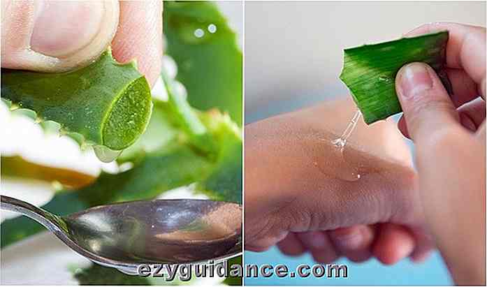 9 Gründe, Aloe Vera auf dein Gesicht, Haut & Haar + 20 Rezepte zu reiben