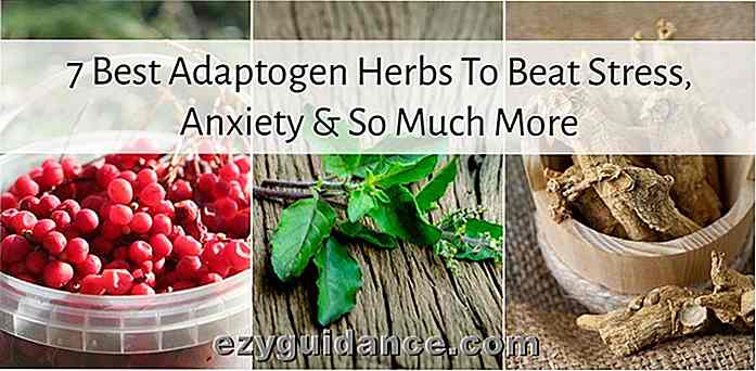 7 meilleures herbes Adaptogen pour combattre le stress, l'anxiété et bien plus encore