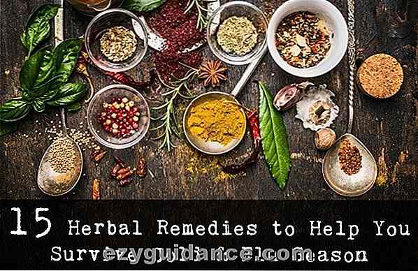 15 Herbal Remedies, um Ihnen zu helfen, Erkältung und Grippe-Saison zu überleben
