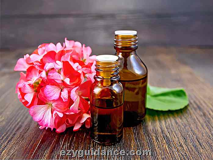 10 razones por las que necesita una botella de aceite esencial de geranio en su hogar