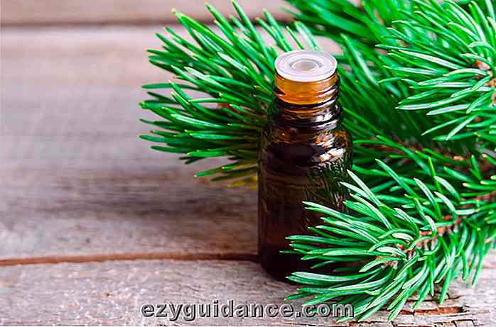 10 razones por las que necesitas una botella de aceite esencial de pino en tu vida
