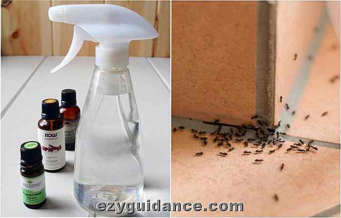 Selbst gemachter Ameisenabwehr-Spray, zum der Ameisen für gut loszuwerden