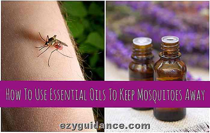 Cómo usar los aceites esenciales para mantener a los mosquitos lejos