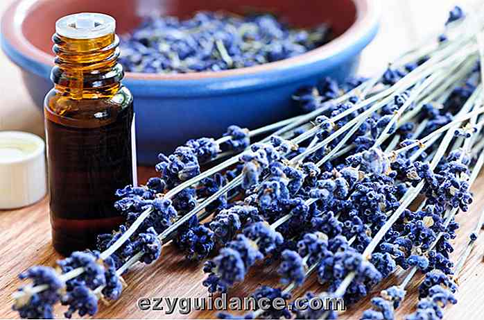 20 Wege eine Flasche Lavendel ätherisches Öl wird Ihr Leben verändern