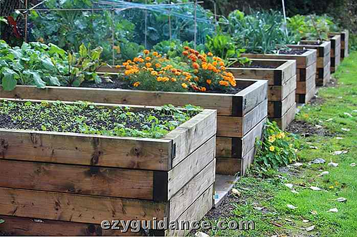 14 motivi per cui i letti rialzati sono il modo migliore per fare giardinaggio