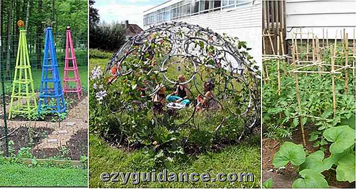 20 DIY trädgårdsstöd för alla typer av växt