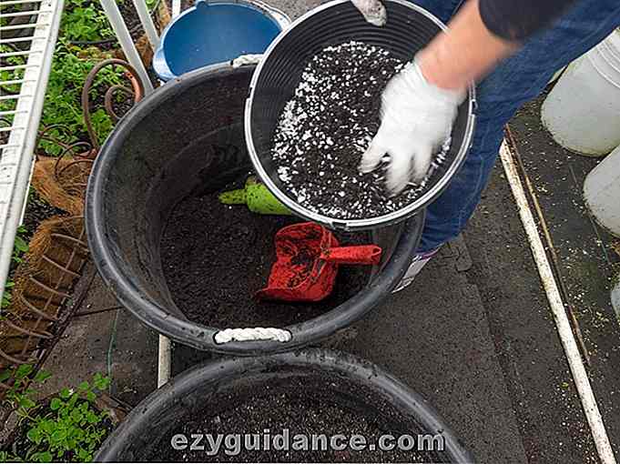 Hur man gör din egen Super Powered Potting Soil