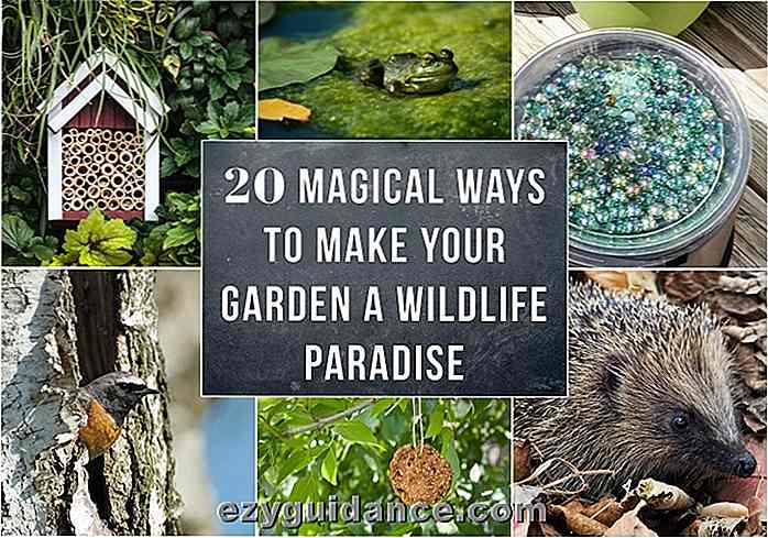 20 magische Wege, um Ihren Garten zu einem Paradies für Wildtiere zu machen