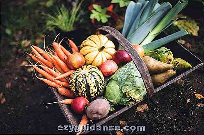 17 secretos orgánicos para potenciar tu cosecha de jardín