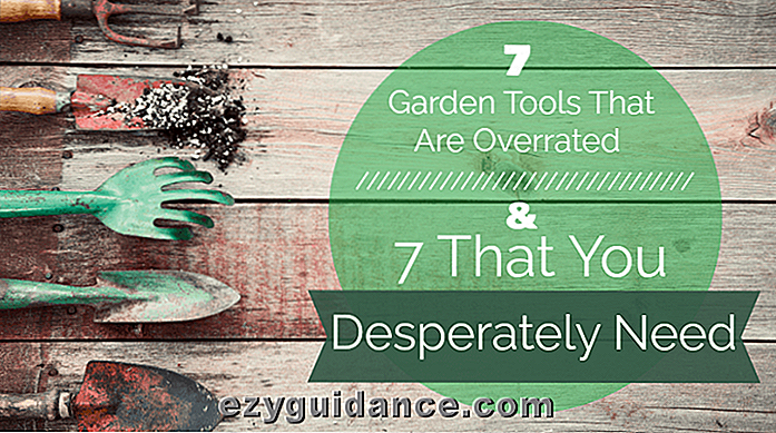 7 herramientas de jardín que están sobrevaloradas y 7 que necesitas desesperadamente