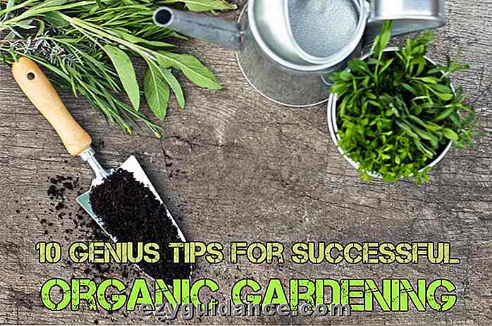 10 Genius Tips för framgångsrikt organiskt trädgårdsarbete