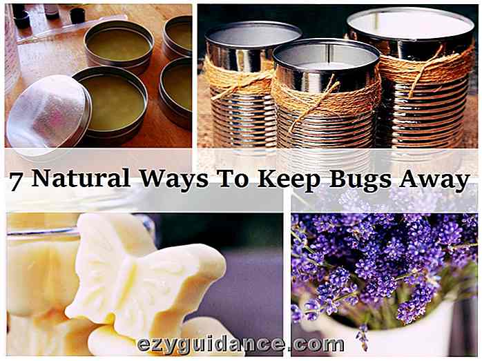 7 formas naturales para mantener a los insectos fuera