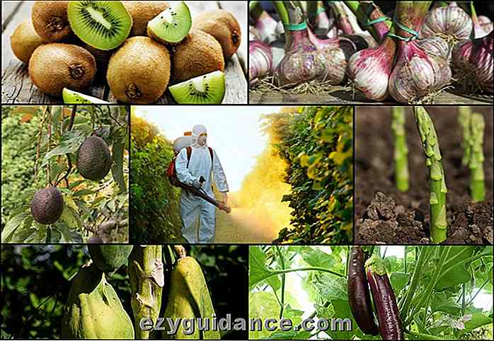 12 frutas y verduras con la mayoría de los pesticidas (y 15 con la menos)