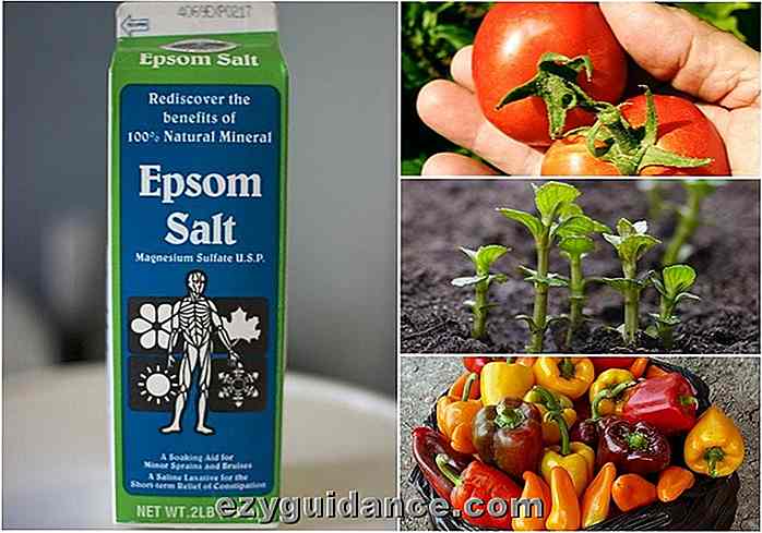 10 usos increíbles de la sal de Epsom para las plantas y el jardín