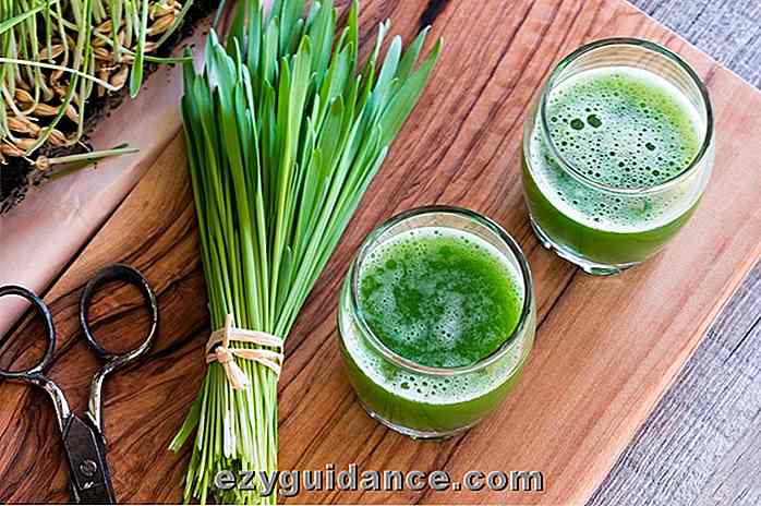 Wheatgrass Juice: Les avantages remarquables et comment faire pousser votre propre herbe de blé