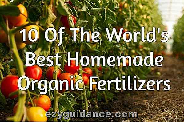 10 av världens bästa hemlagade organiska gödselmedel