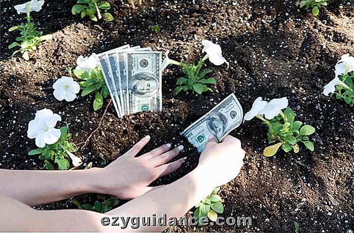 9 secretos de ahorro de dinero que todo jardinero necesita saber