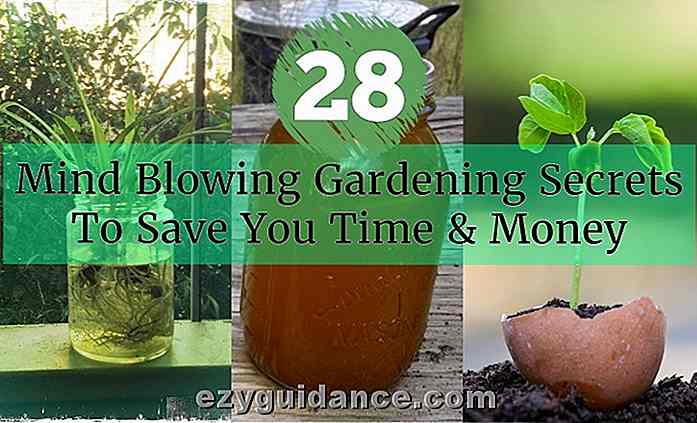 28 Mind Blowing Segreti di giardinaggio per risparmiare tempo e denaro