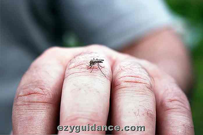 7 choses qui vous rendent plus attrayant pour les moustiques (+ Comment l'arrêter)