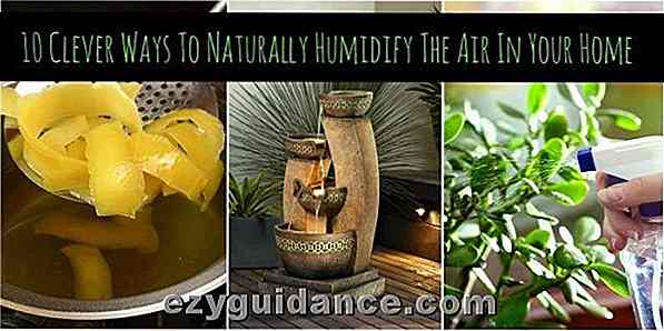 10 façons intelligentes d'humidifier naturellement l'air dans votre maison