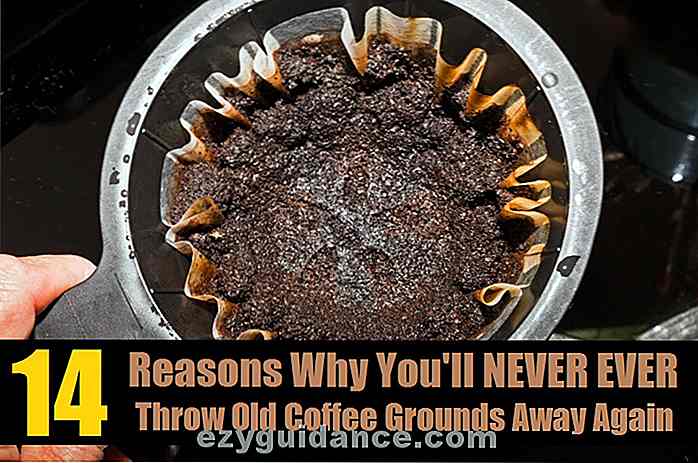 14 façons géniales de recycler les terres de café usagées