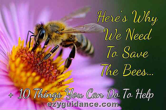 Voici pourquoi nous devons sauver les abeilles + 10 choses que vous pouvez faire pour aider