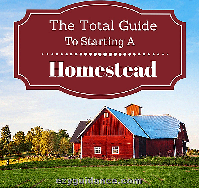 Der Total Guide zum Start eines Homestead